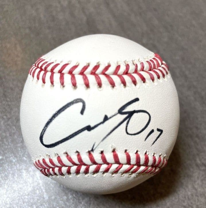 メ*ん様 大谷翔平　直筆サイン入　ボール　 ドジャース　野球　プロ野球　ピッチャ