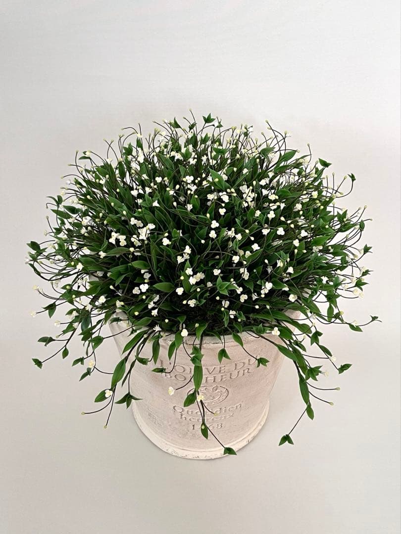 ブライダルベール　クレイフラワー