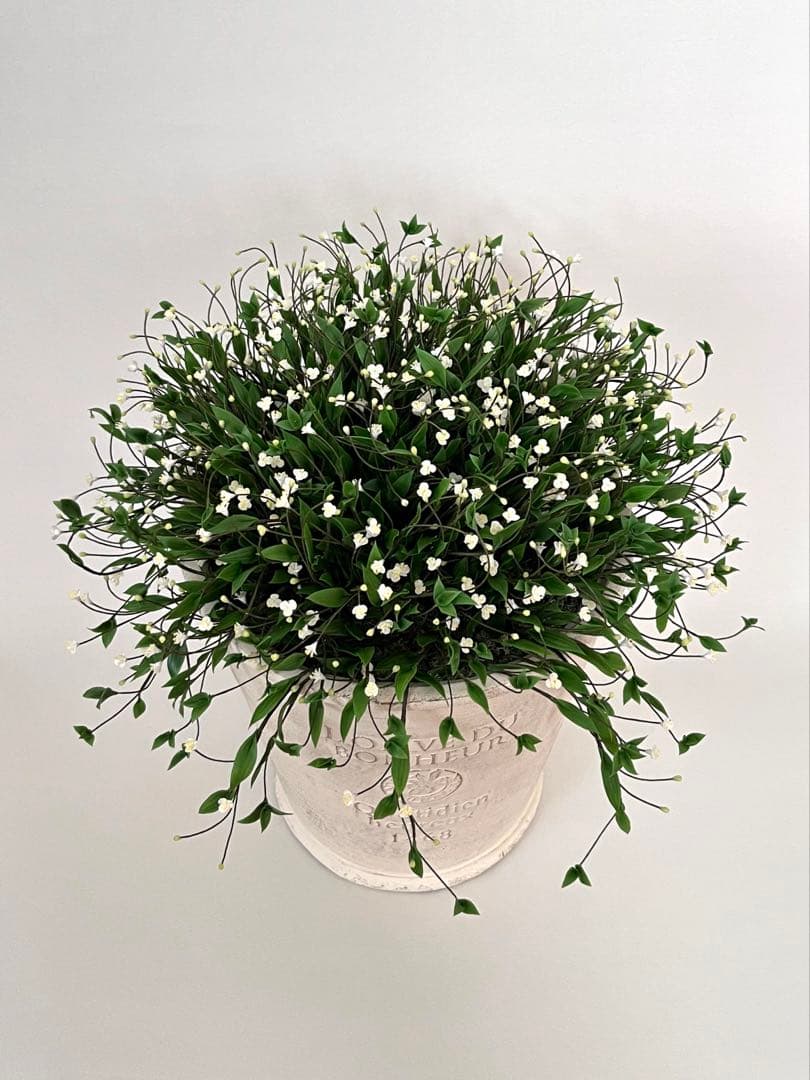 ブライダルベール　クレイフラワー