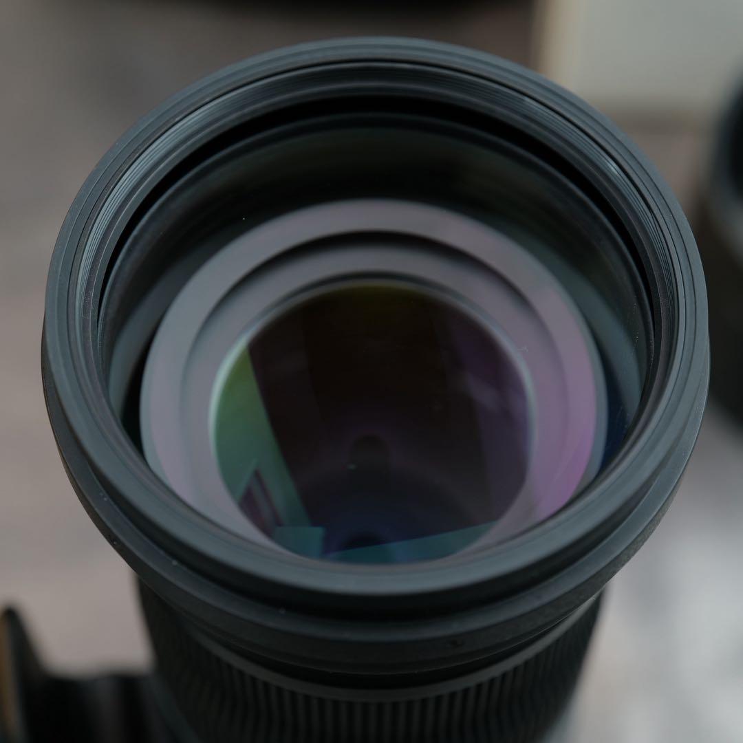 SIGMA 150-600mm f5-6.3 DG DN OS Lマウント用