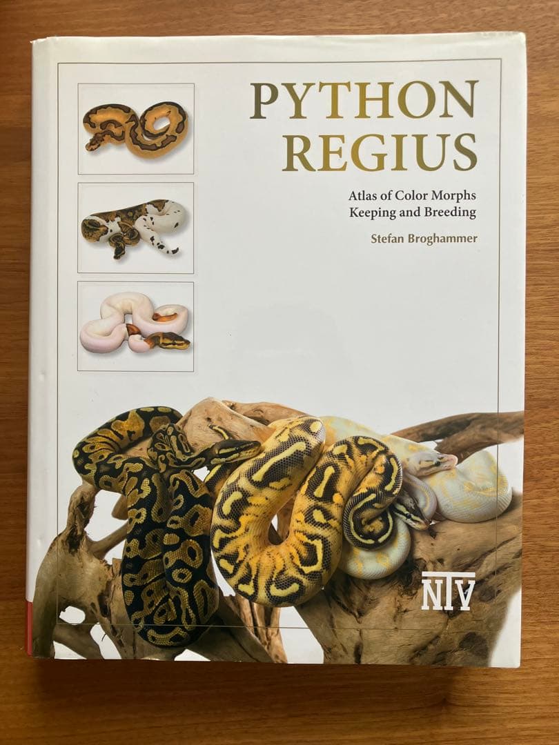 PYTHON REGIUS ボールパイソンの飼育ガイド