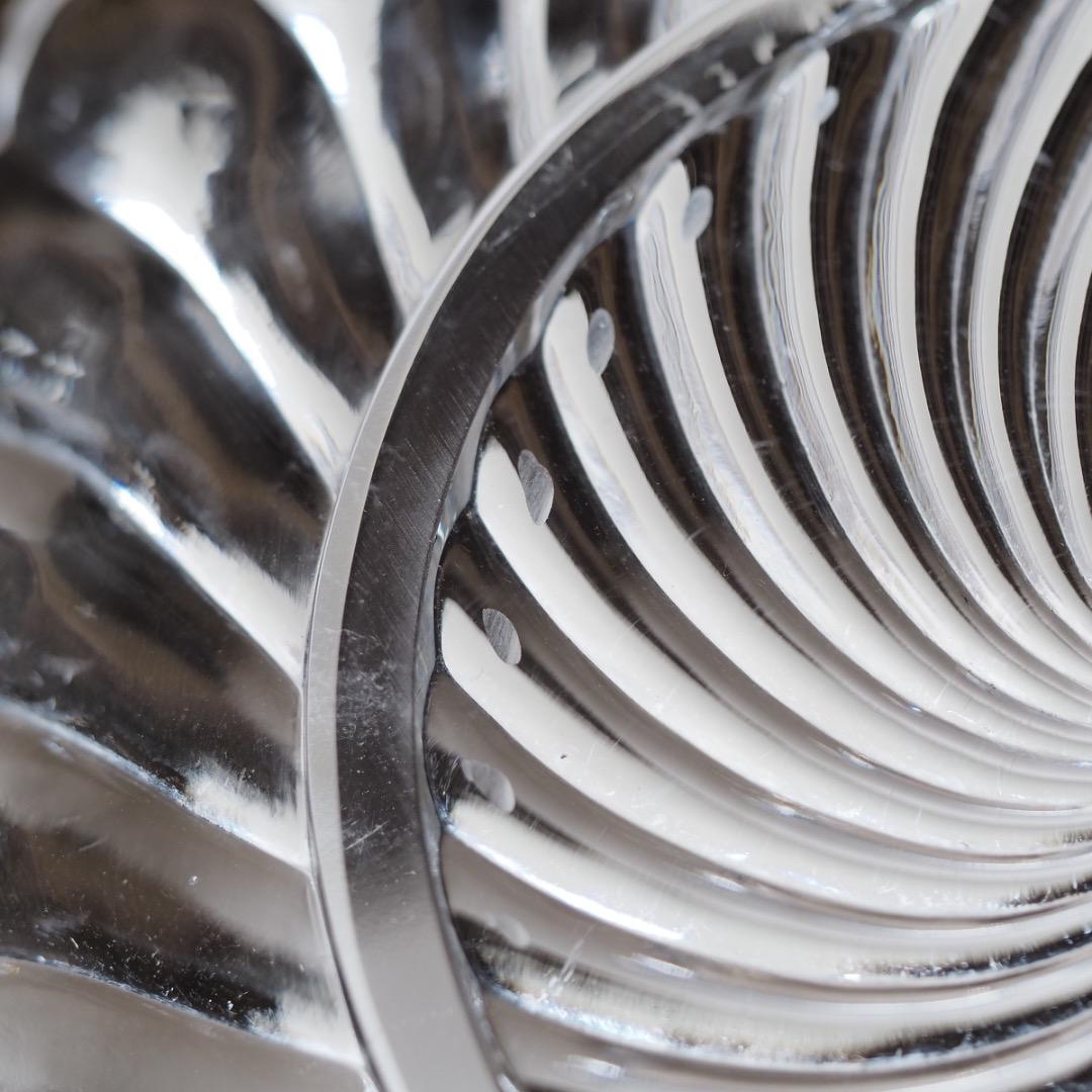 バカラ バンブー プレート 2枚セット / Bamboo 皿