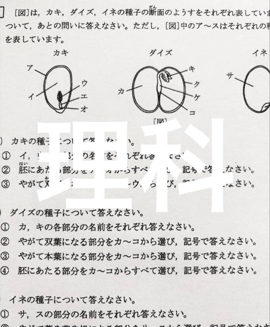 浜学園　小5 2024年度　復習テスト　Sクラス 3教科　実力、No.1〜21