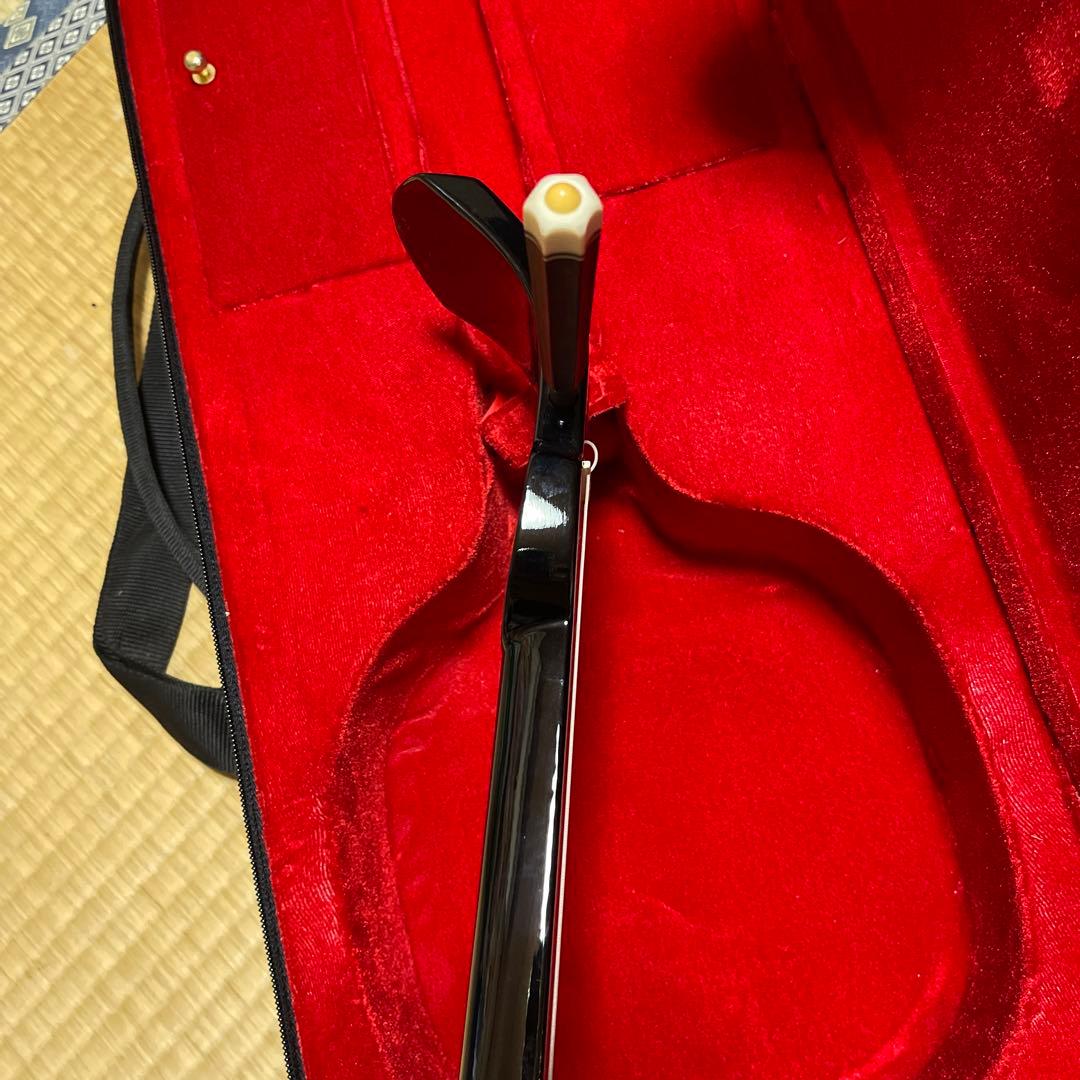 蛇皮沖縄三線　ハードケース付き