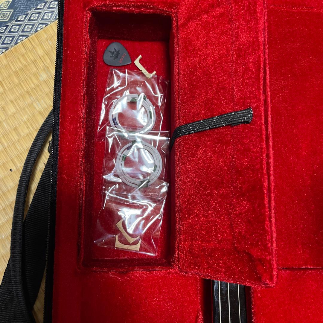 蛇皮沖縄三線　ハードケース付き