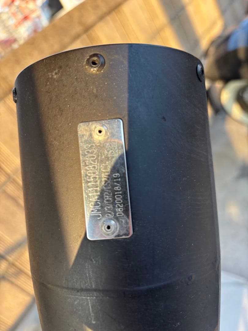 DLIVE製2in1 マフラー　スポーツスター　カラーズインターナショナル