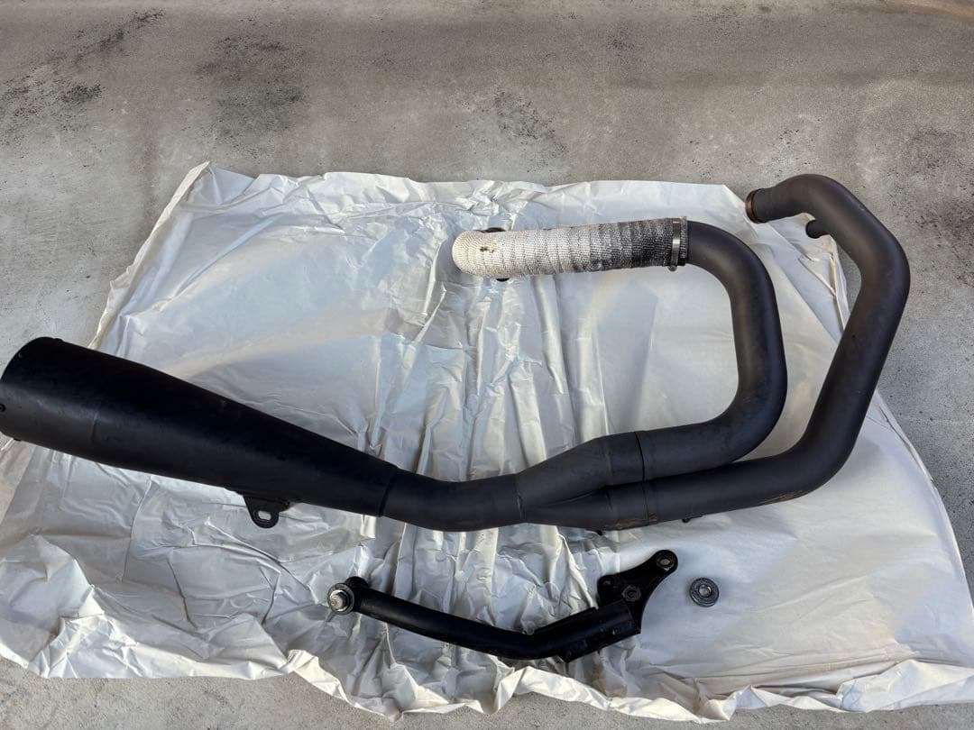 DLIVE製2in1 マフラー　スポーツスター　カラーズインターナショナル