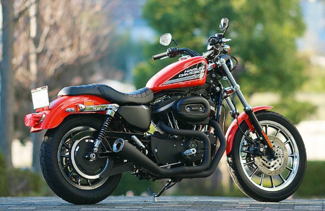 DLIVE製2in1 マフラー　スポーツスター　カラーズインターナショナル