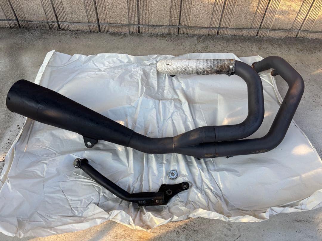 DLIVE製2in1 マフラー　スポーツスター　カラーズインターナショナル