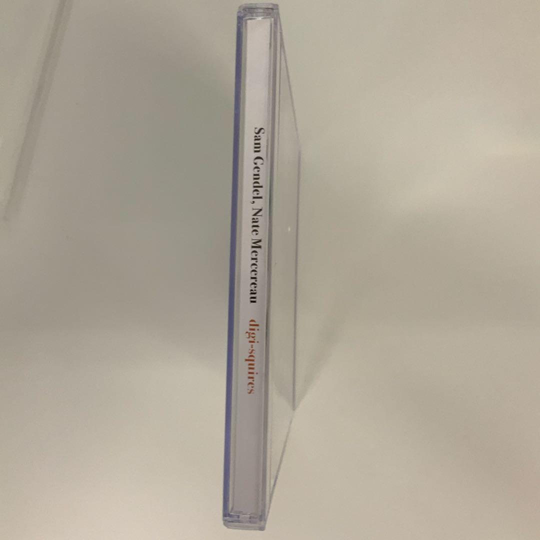 美品digi-squires Sam Gendel+Nate Mercereau