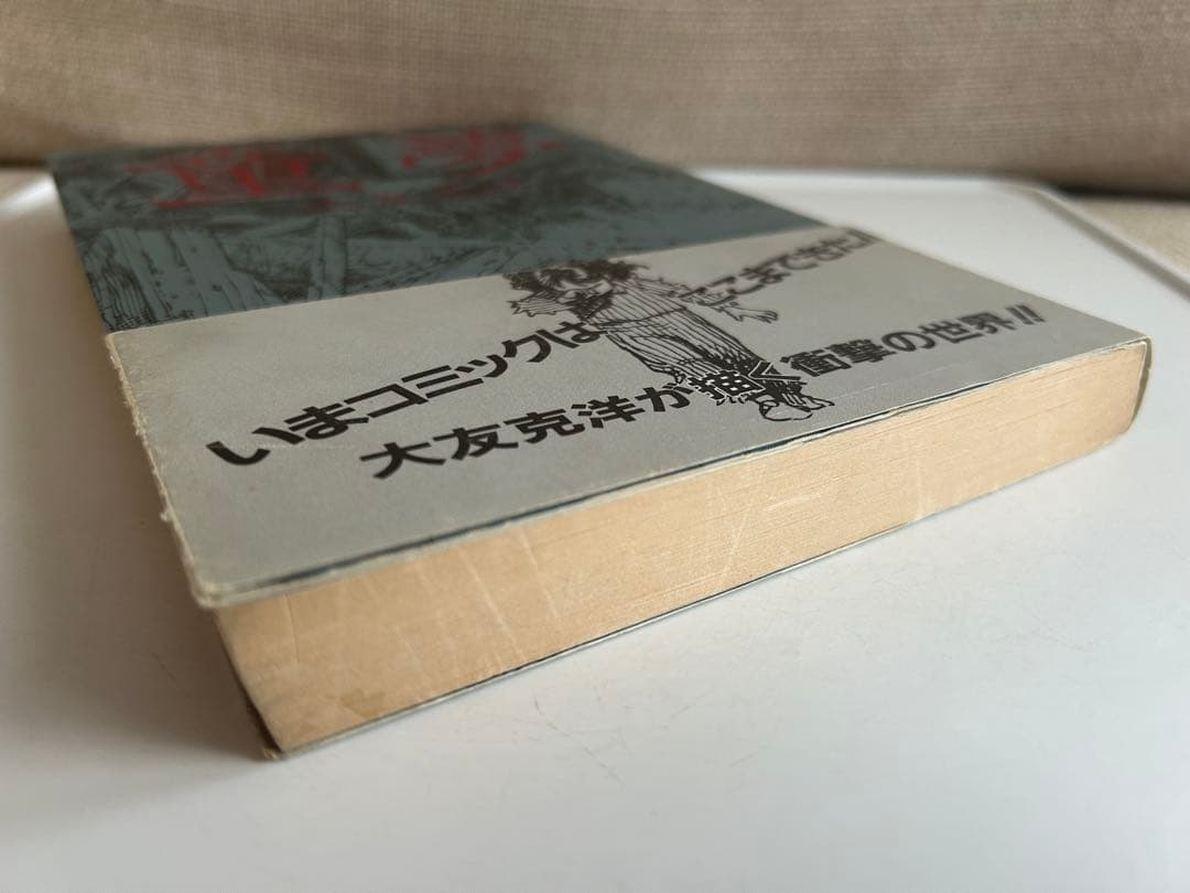 【コレクターズアイテム追加!!】 大友克洋 童夢 コンプリートコレクション⁉︎