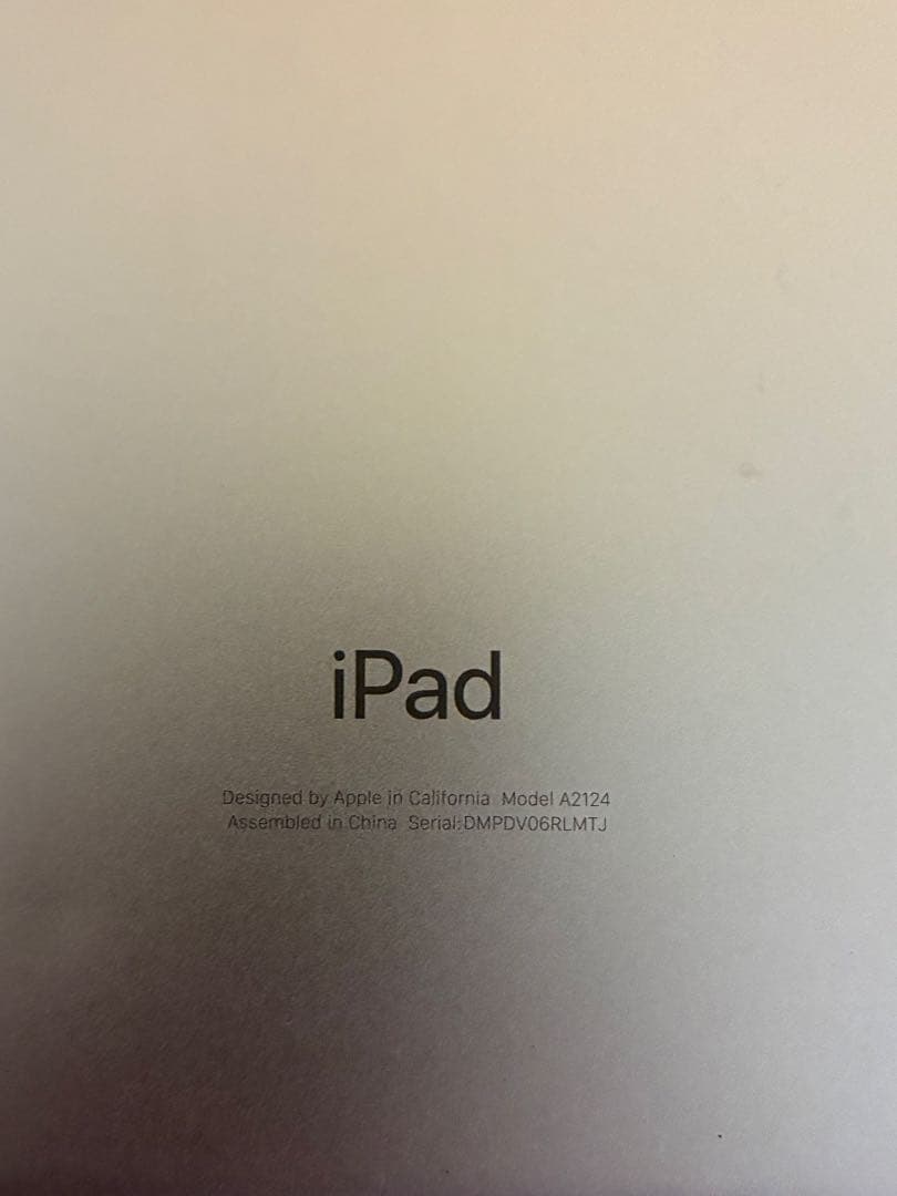 iPad mini 256GB セルラーモデル + Appleペンシル