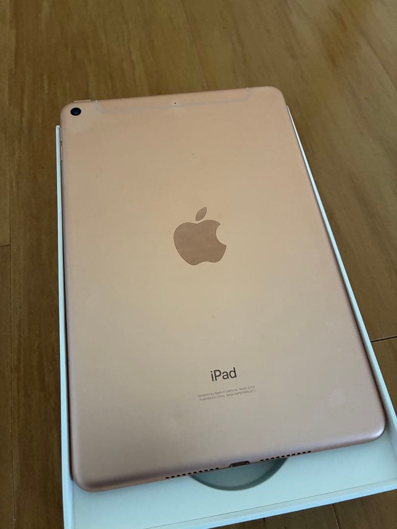 iPad mini 256GB セルラーモデル + Appleペンシル