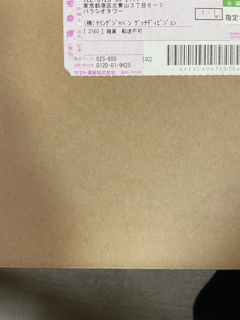 GUCCI x THE NORTH FACE グッチ x ノースフェイス コラボ