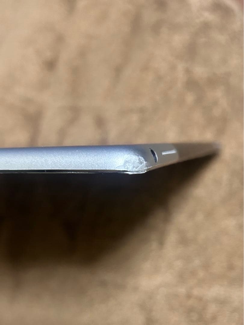 iPad本体 iPad Pro 12.9