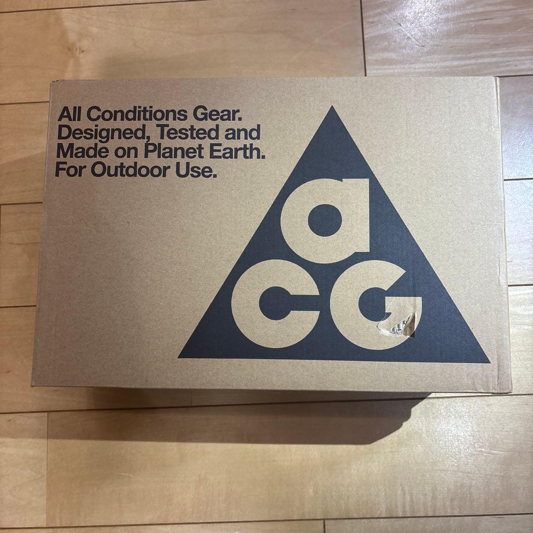 Nike ACG ネイビー サンダル