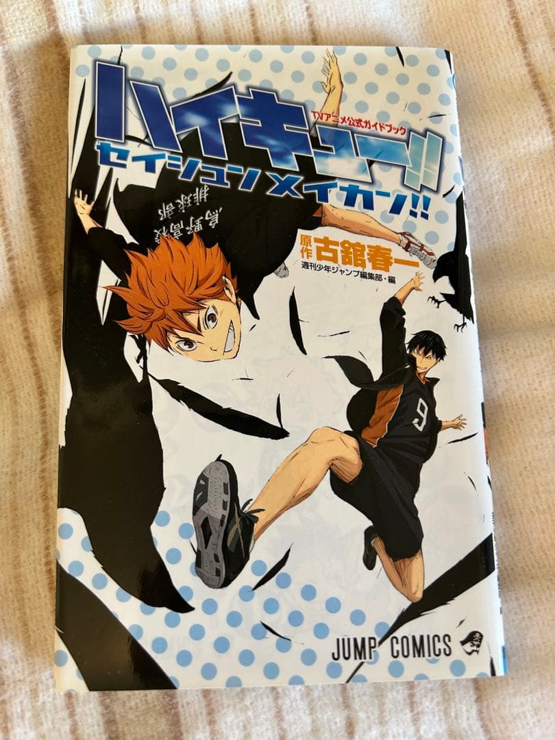 ハイキュー!! 全45巻 （38巻抜けてます）+ 10冊収納BOX暗記シート付き