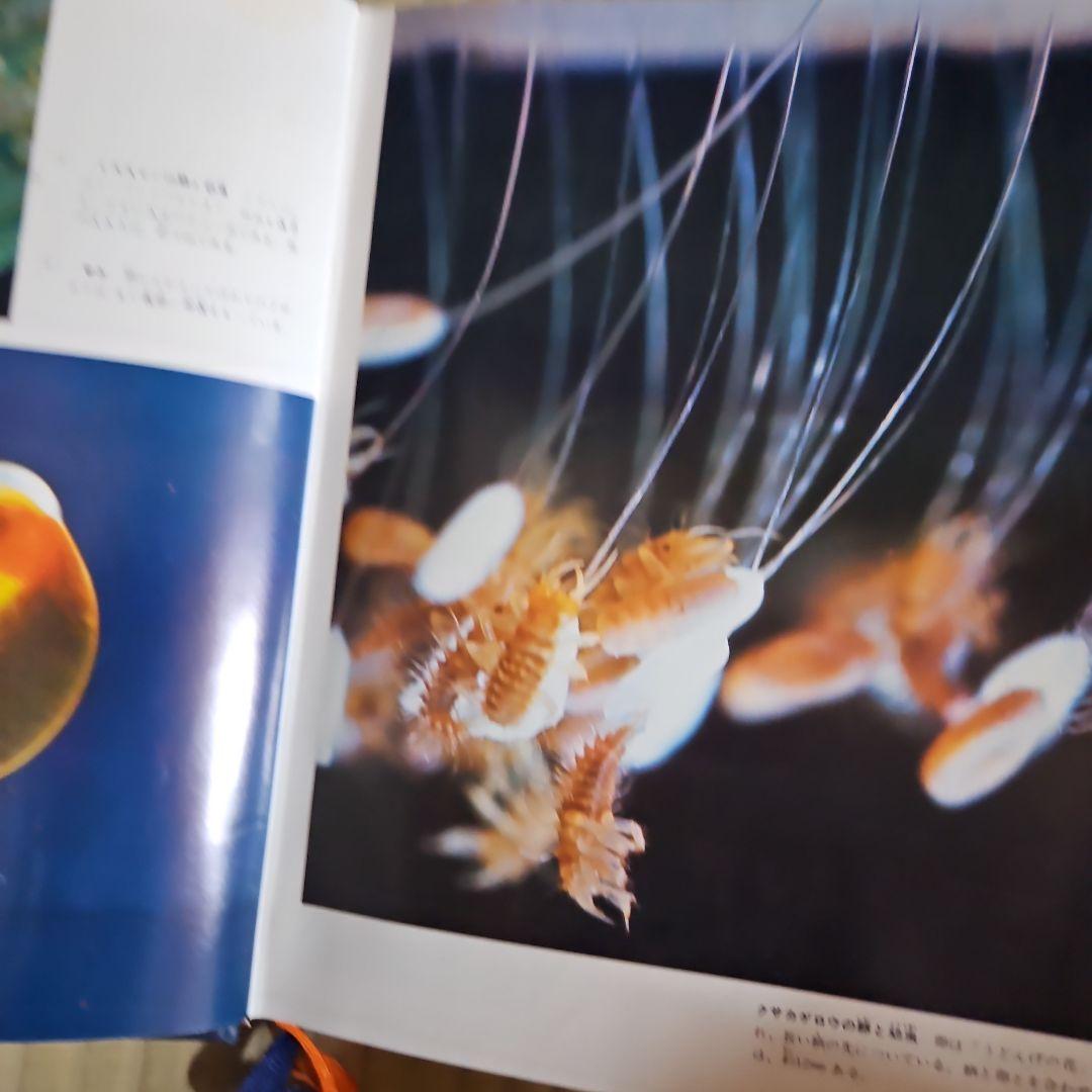 学研学習カラー百科全10巻セット