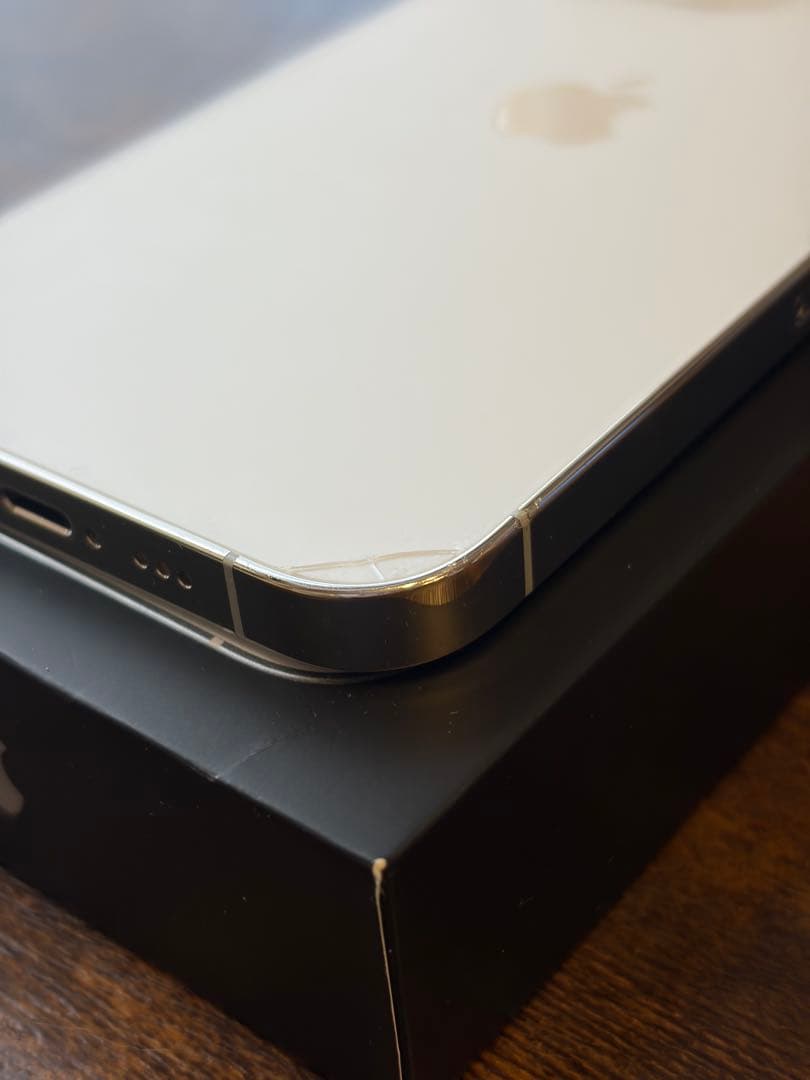 iPhone 13 Pro シルバー 256GB 海外版 シャッター音なし