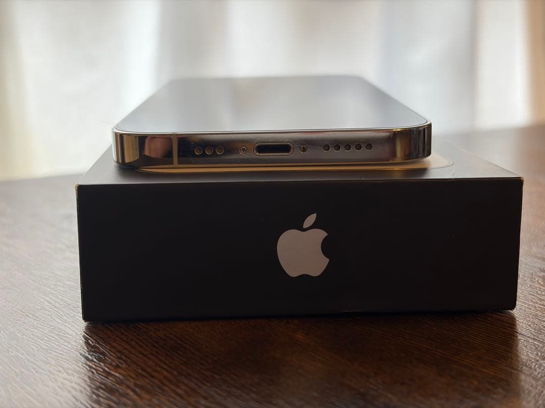 iPhone 13 Pro シルバー 256GB 海外版 シャッター音なし