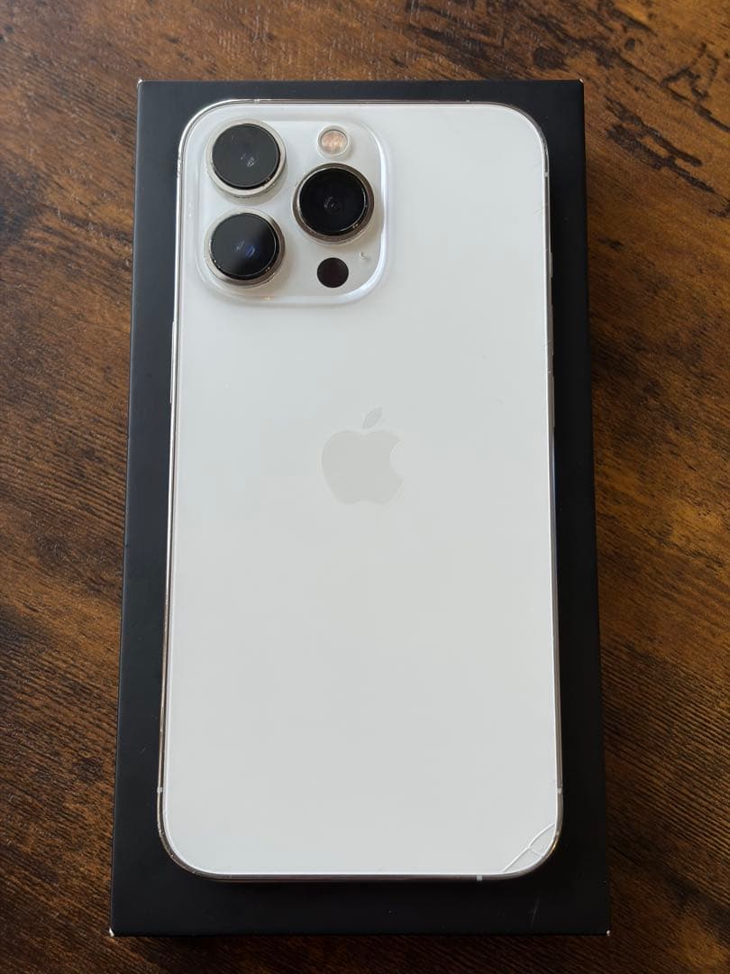 iPhone 13 Pro シルバー 256GB 海外版 シャッター音なし