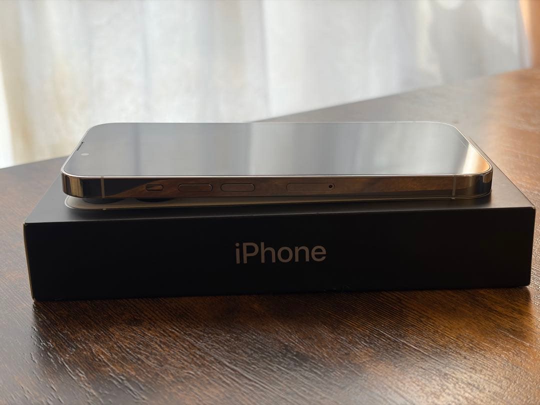 iPhone 13 Pro シルバー 256GB 海外版 シャッター音なし