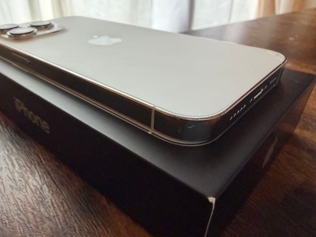 iPhone 13 Pro シルバー 256GB 海外版 シャッター音なし