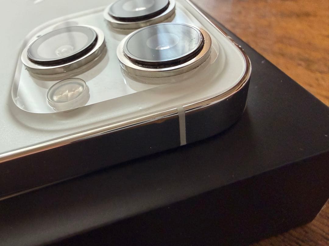 iPhone 13 Pro シルバー 256GB 海外版 シャッター音なし