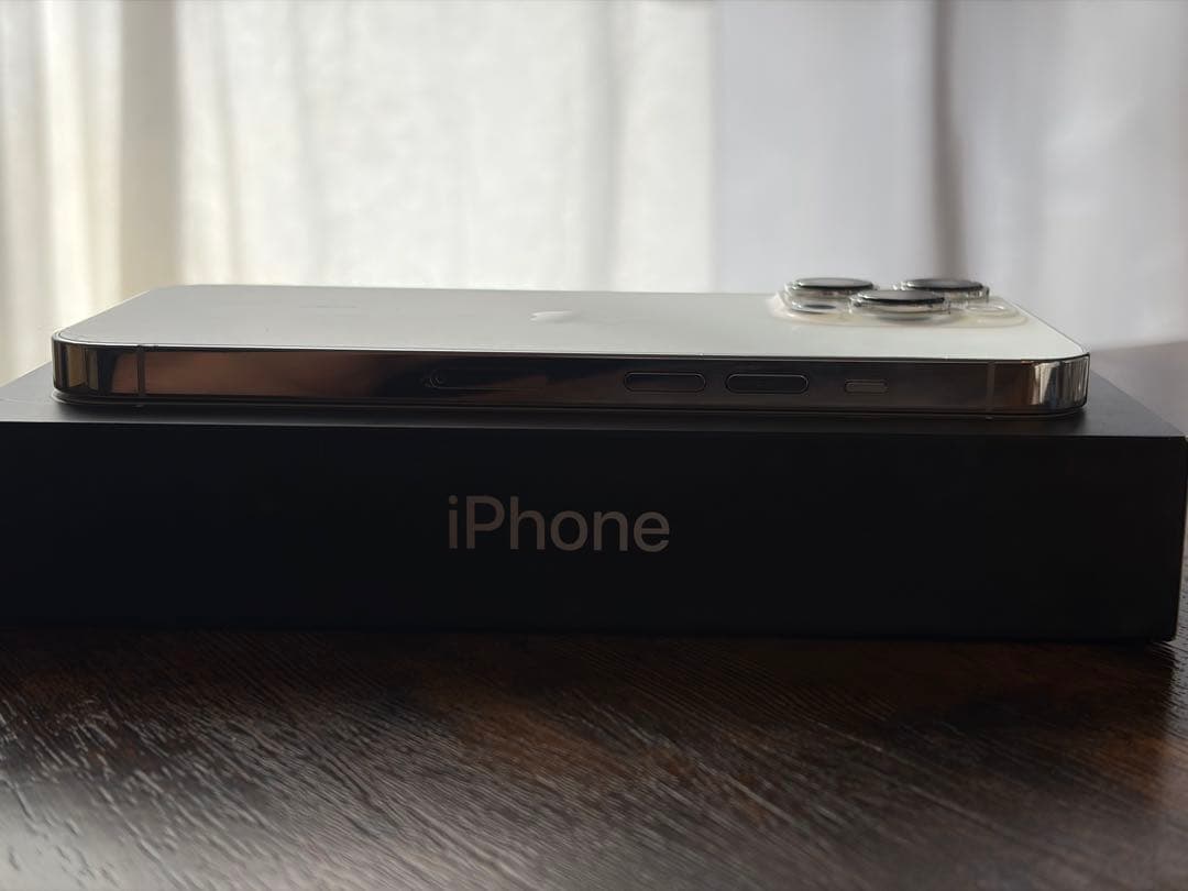 iPhone 13 Pro シルバー 256GB 海外版 シャッター音なし