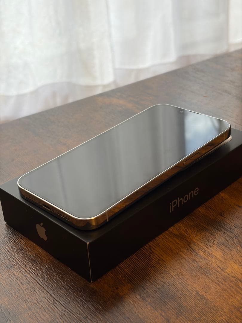 iPhone 13 Pro シルバー 256GB 海外版 シャッター音なし