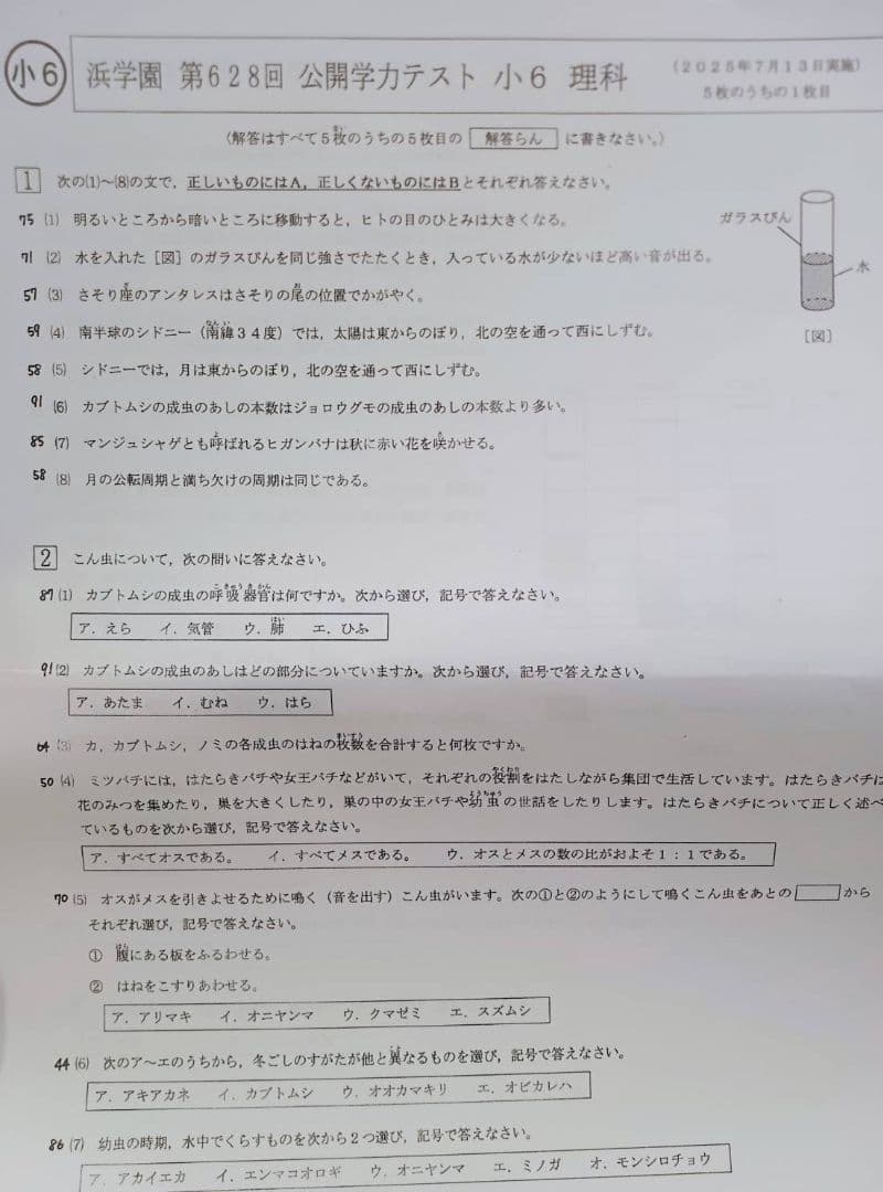 浜学園　小６　公開学力テスト　３教科　算数　国語　理科　９年分