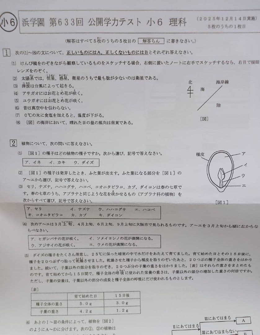浜学園　小６　公開学力テスト　３教科　算数　国語　理科　９年分
