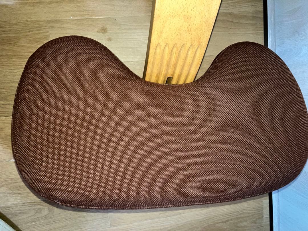 美品　バランスイージー バランスチェア リボ社 新品カバー付(ブルー)