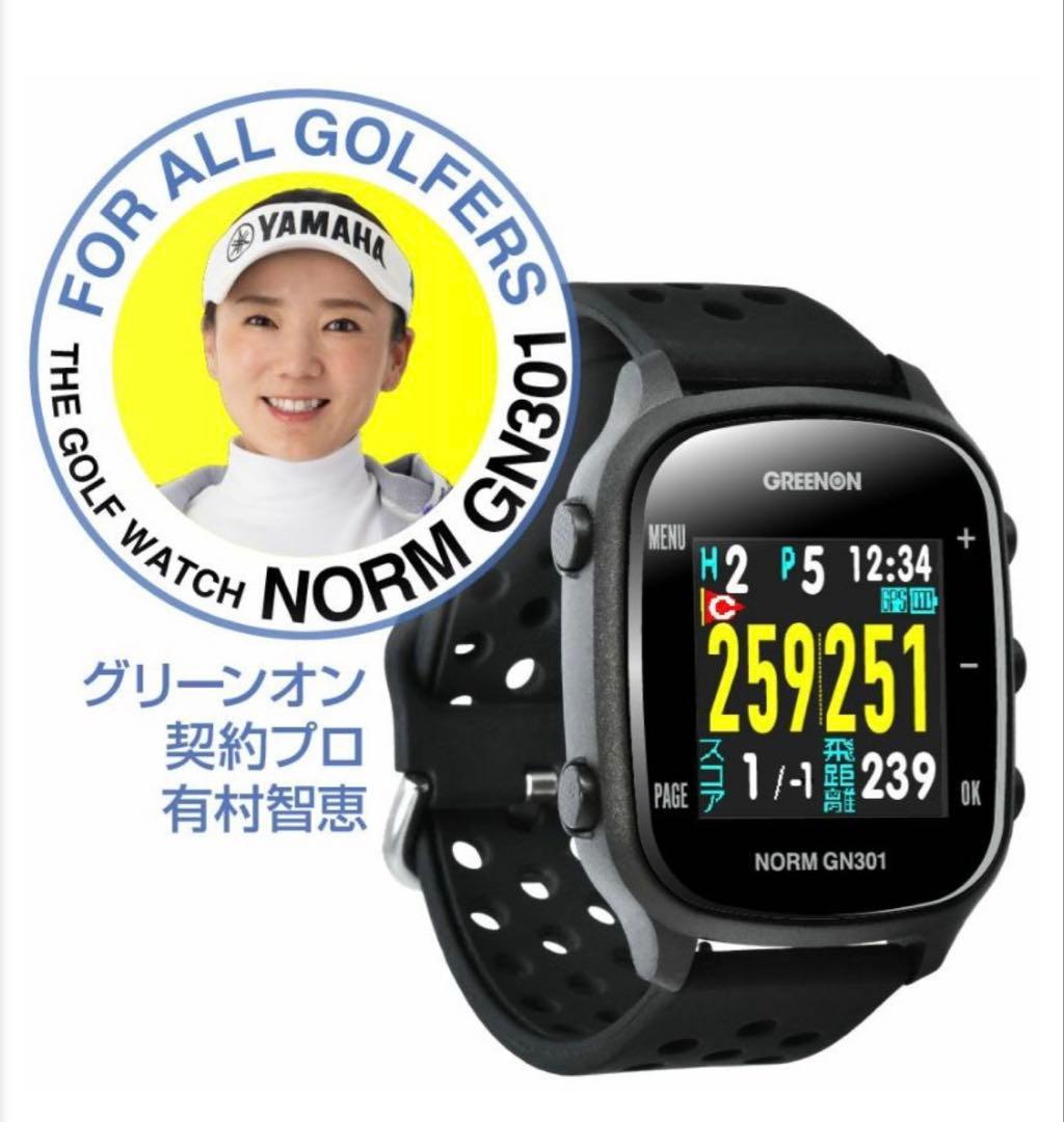 新品❣️未使用❣️GREENON NORM GN301 GPSナビ❣️