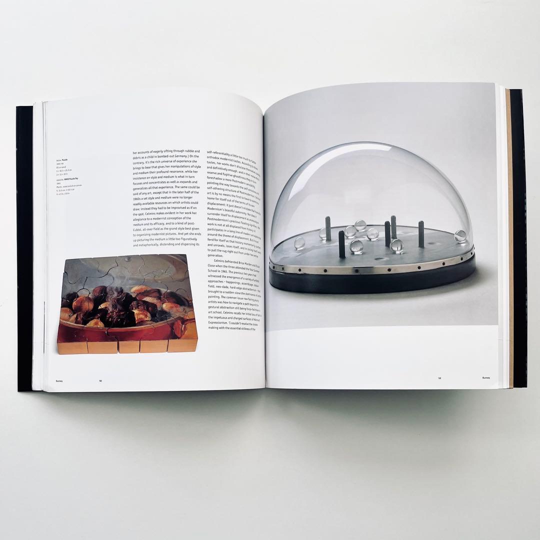 Vija Celmins ヴィヤ・セルミンス 作品集 PHAIDON 出版