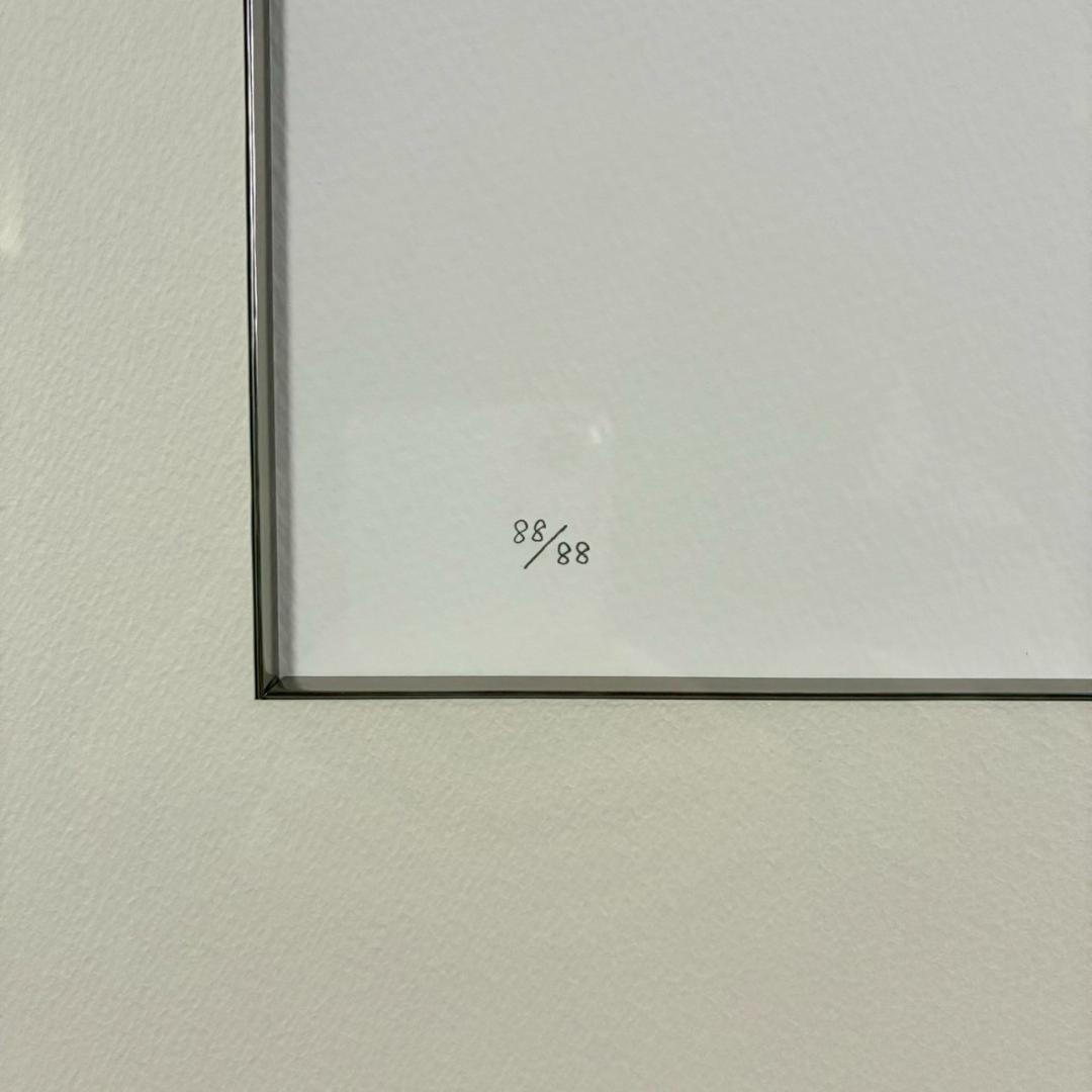 美品 ロバート・ハインデル「ドローイング フォー ダーシー・バッセル」ジクレー