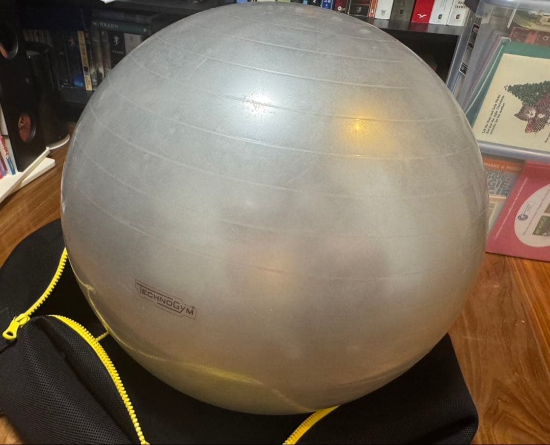 （（Technogym））WELLNESS BALL