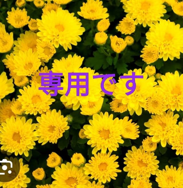 nekoさま専用【高級感漂う美しい本革】ショルダーバッグ　赤　バイソン刻印