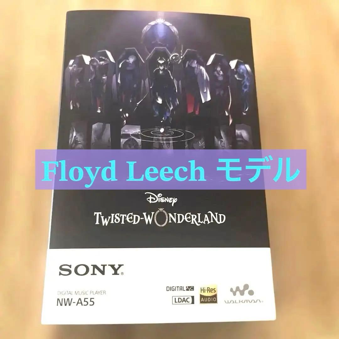 き*ち様 SONY WALKMAN NW-A55 ツイステフロイド