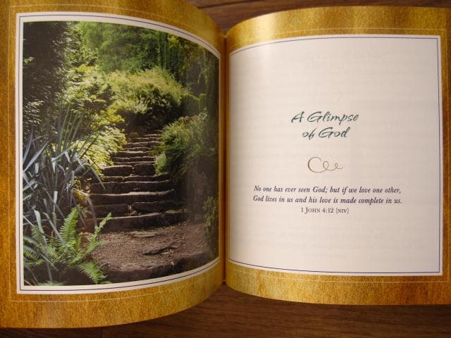 Friend　Ellyn Sanna　CD付き