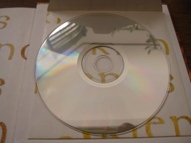 Friend　Ellyn Sanna　CD付き