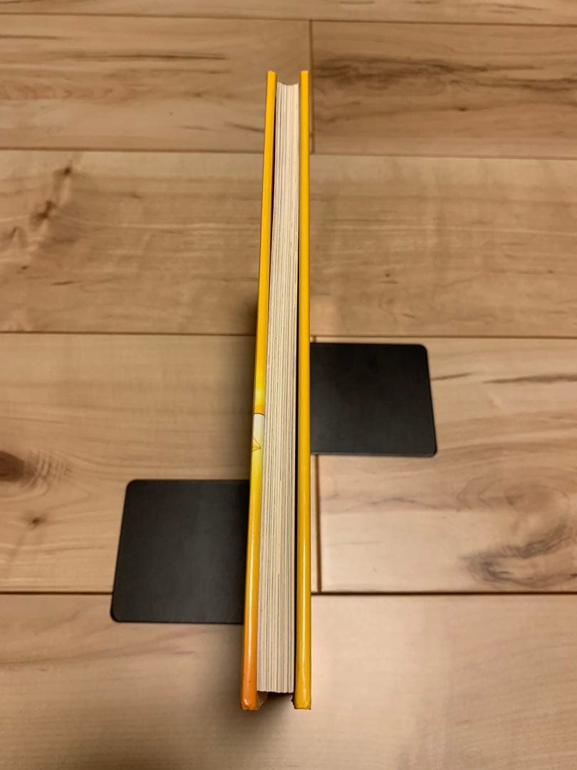 ★希少 初版たむらしげる 結晶星 The Crystallization