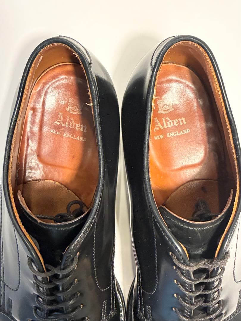 Alden オールデン53511 コードバン　size7.5 ブラック