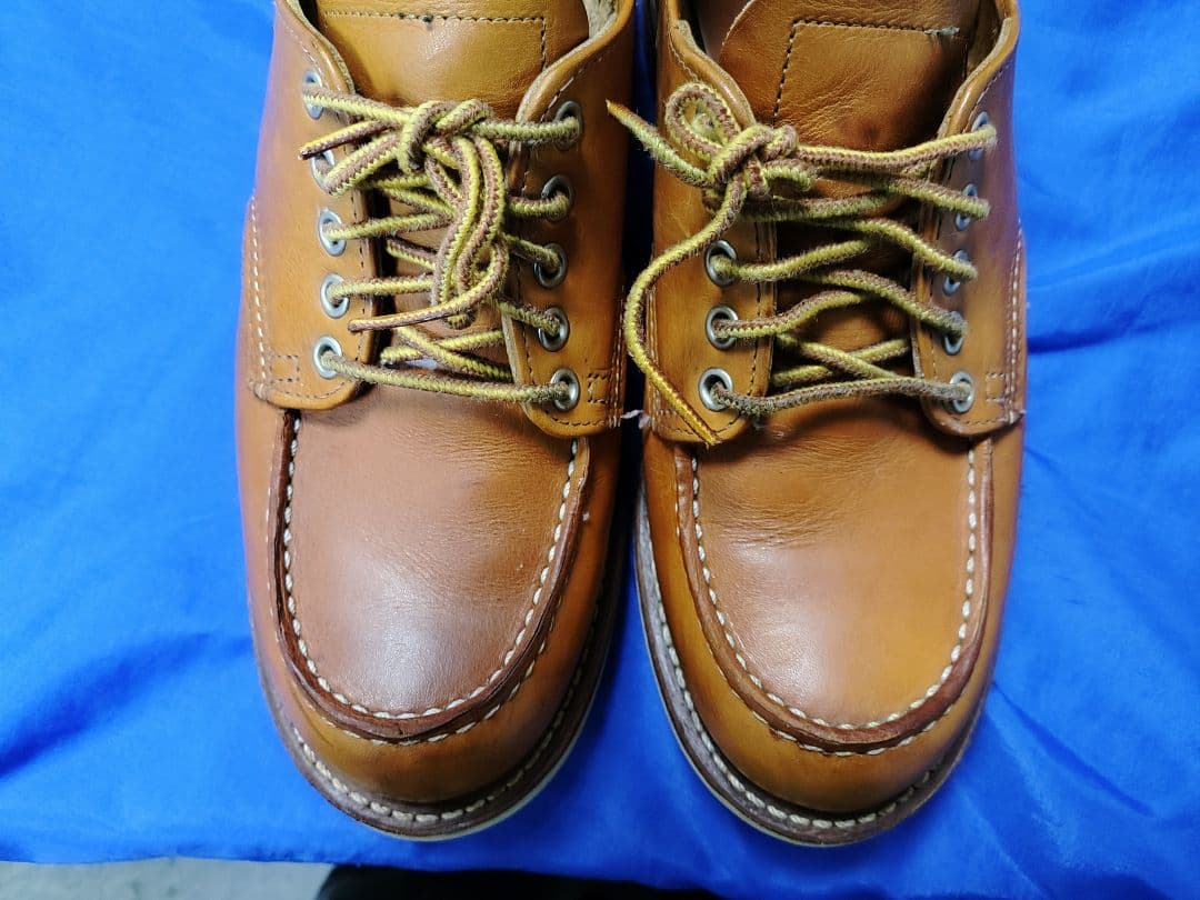 レッドウイング ud7.5　9895 　アイリッシュセッター　オックスフォード