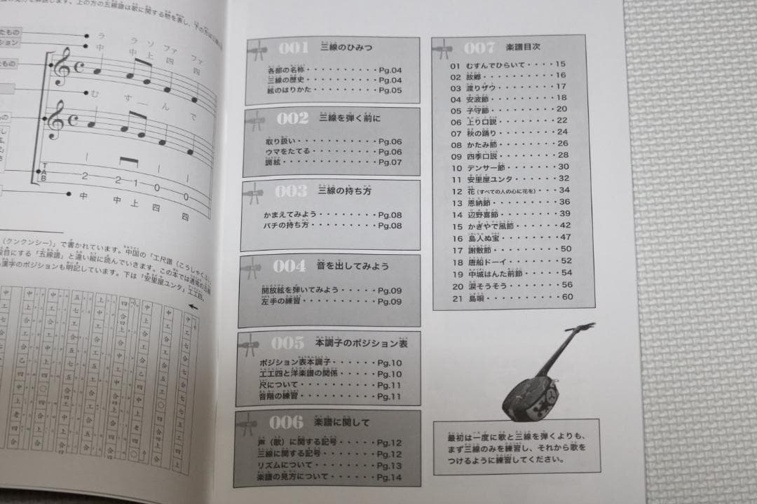 三線 沖縄三線初心者にもやさしいお得なセット、ＤＶＤ、教本、チューナー他付属品付