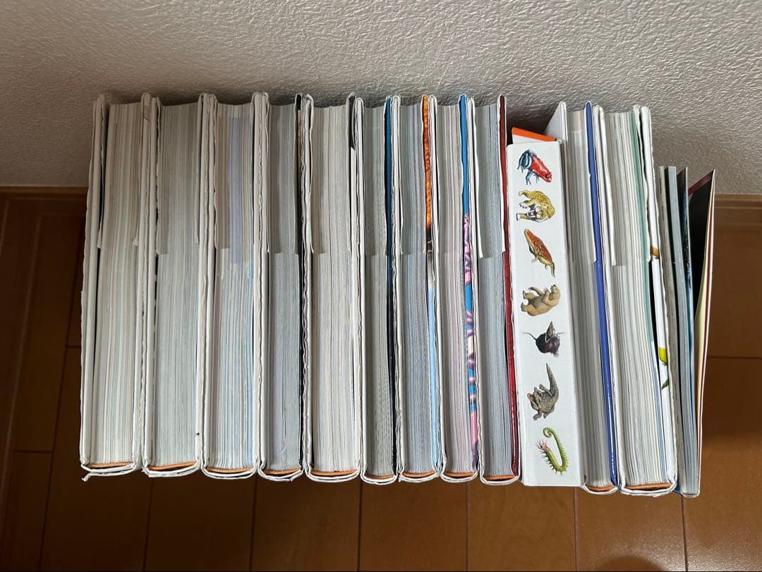 講談社の動く図鑑 move 13冊 まとめ売り