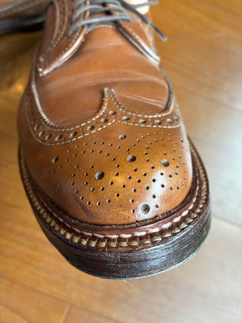 Alden 97873 ホーウィン クロムエクセル ヌメ革 US8h