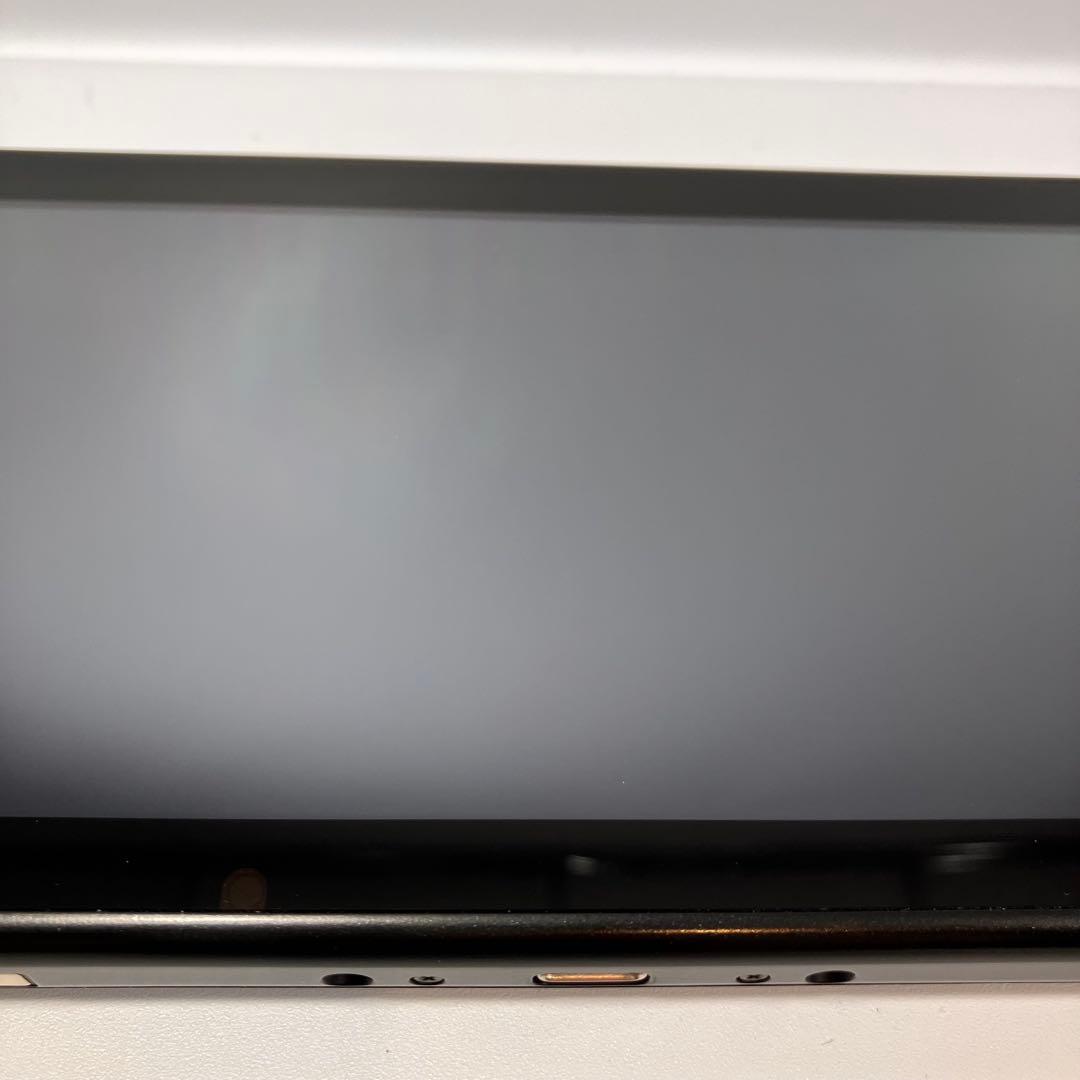 【美品】Nintendo Switch あつまれどうぶつの森セット