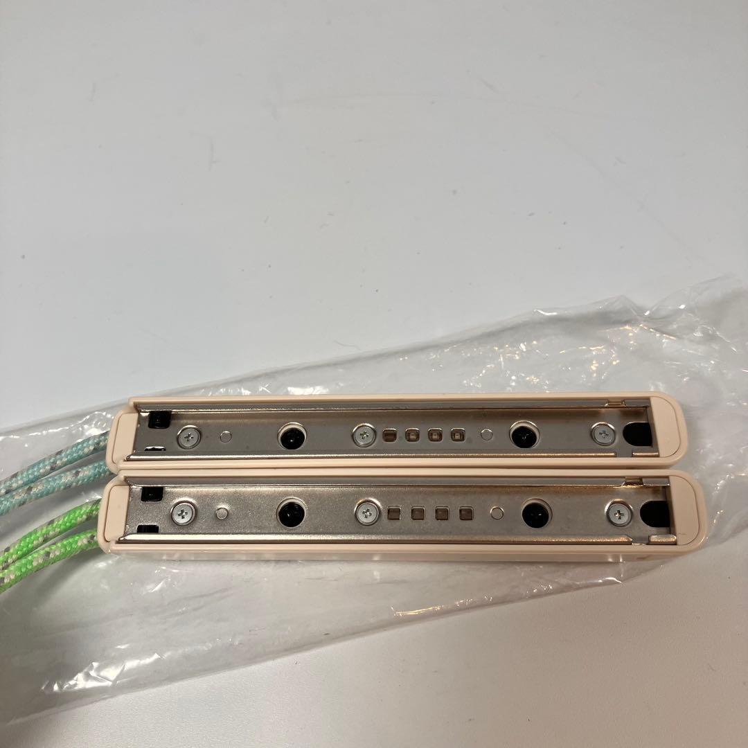 【美品】Nintendo Switch あつまれどうぶつの森セット