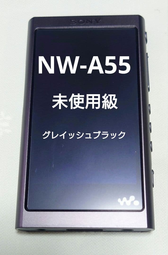 未使用級 SONY ウォークマン NW-A55 16GB